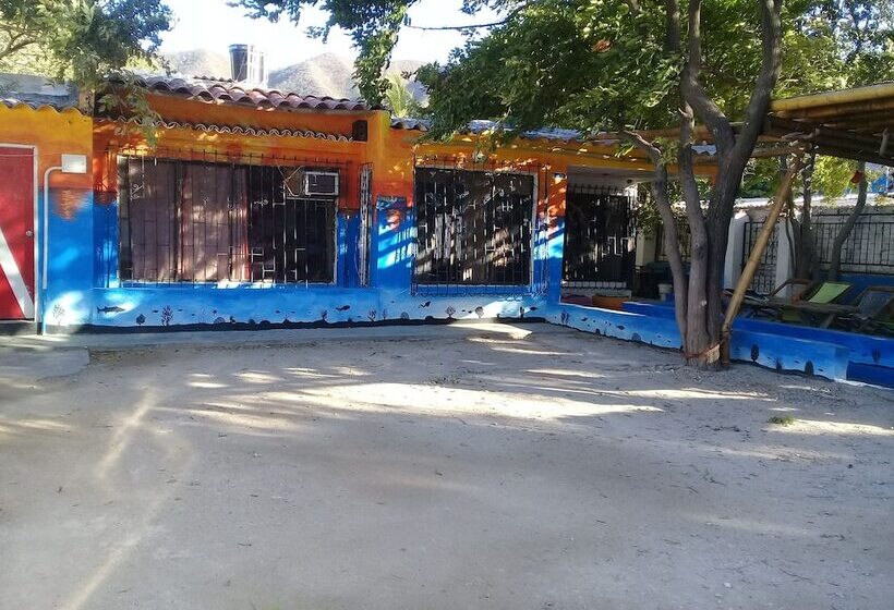 ユースホステル Taganga Paradise Hostal Diving