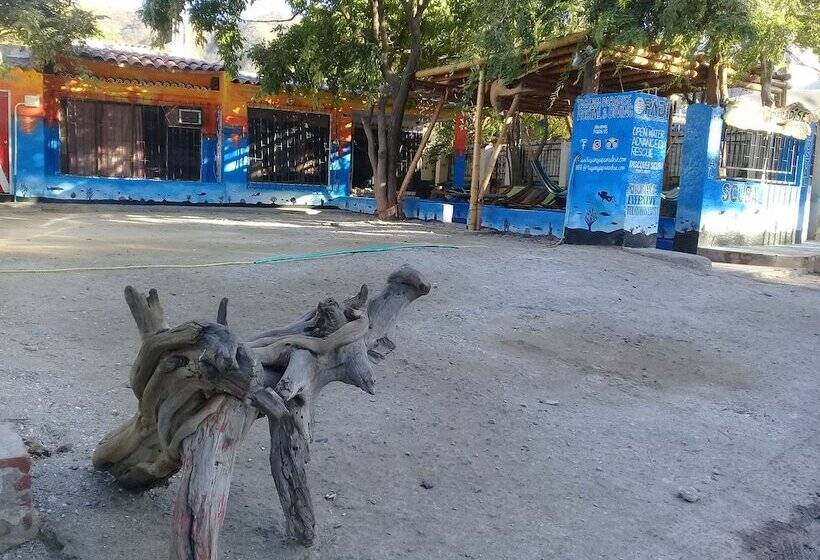 ユースホステル Taganga Paradise Hostal Diving