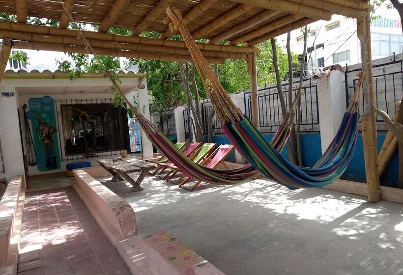 ユースホステル Taganga Paradise Hostal Diving