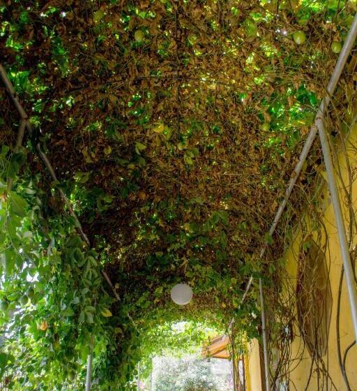 Общежитие Tuzco Lodge