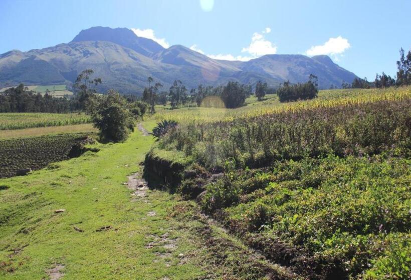 Bed and Breakfast El Tio Hostal