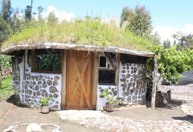 Bed and Breakfast El Tio Hostal