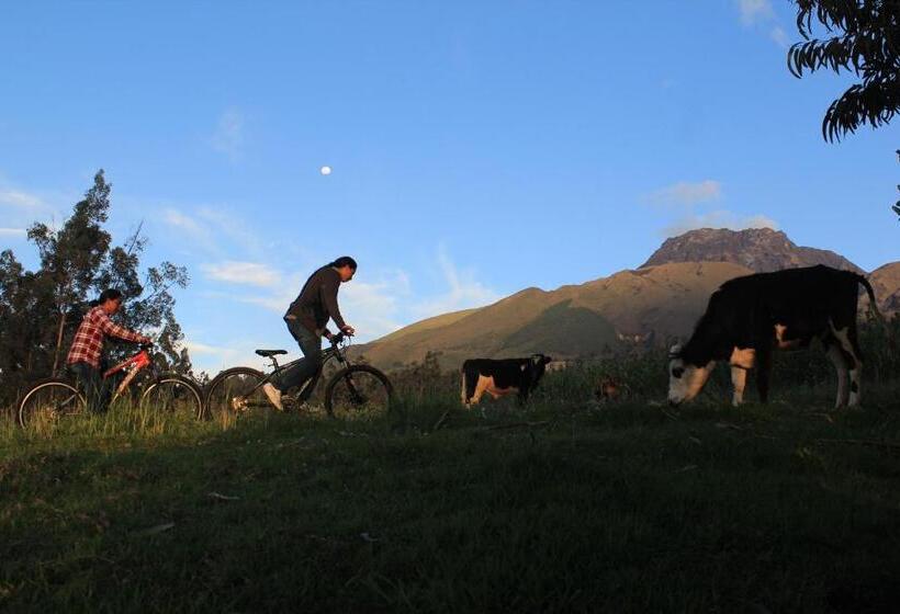 Bed and Breakfast El Tio Hostal