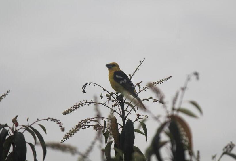 Bed and Breakfast El Tio Hostal