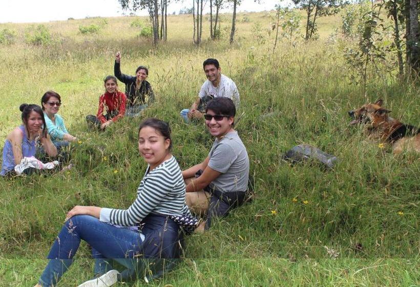 Bed and Breakfast El Tio Hostal