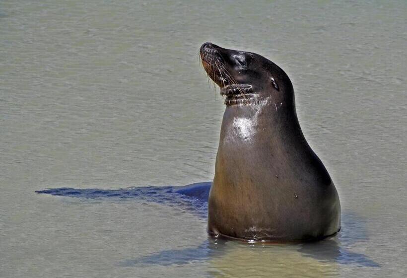 تختخواب و صبحانه Galapagos Eco Friendly