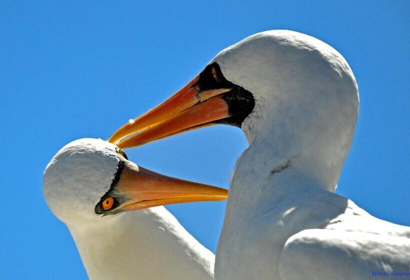 تختخواب و صبحانه Galapagos Eco Friendly