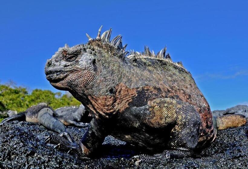 Bed and Breakfast Galapagos Eco Friendly