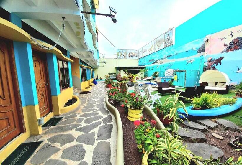 Bed and Breakfast Galapagos Eco Friendly