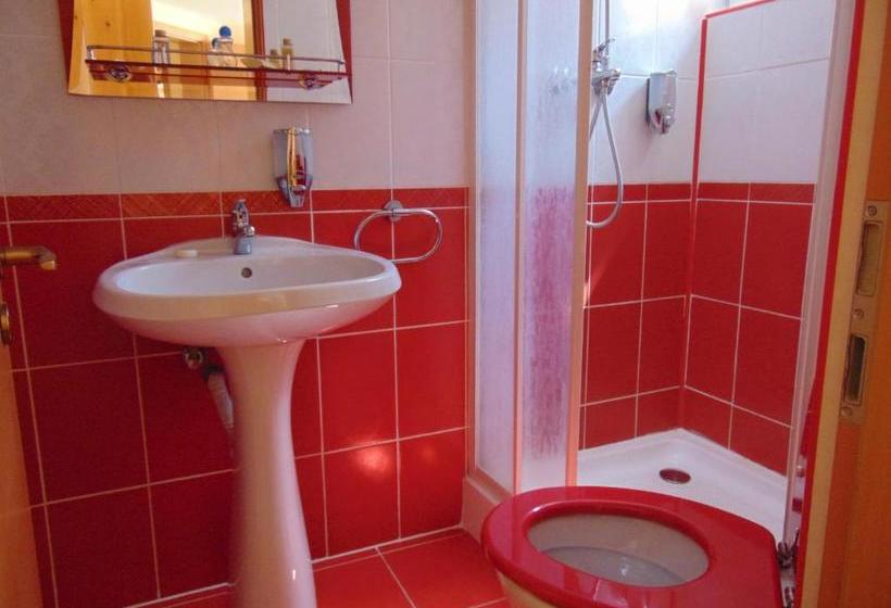 ベッドアンドブレックファースト Pensiunea Neba