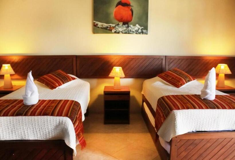 酒店 Arena Blanca Eco