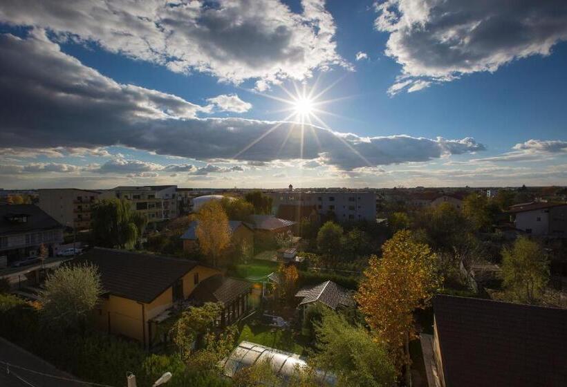 ホテル Aviator Boutique