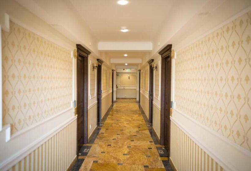 ホテル Aviator Boutique