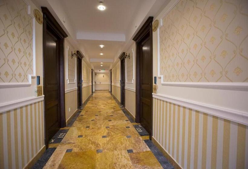 ホテル Aviator Boutique