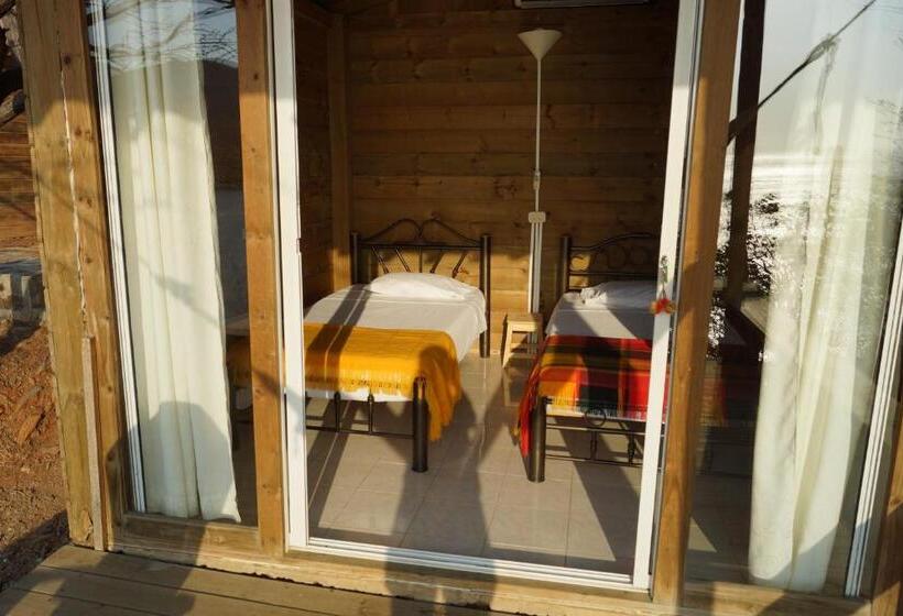 בית מלון כפרי Cactus Taganga