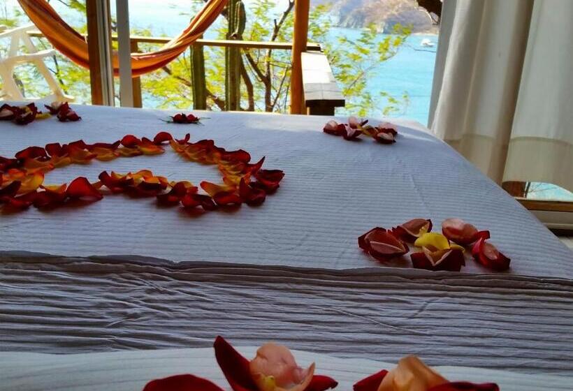 בית מלון כפרי Cactus Taganga