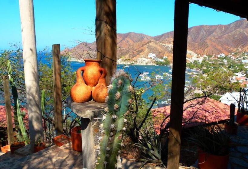 בית מלון כפרי Cactus Taganga