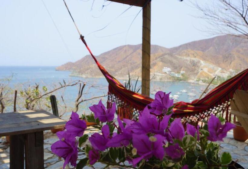 בית מלון כפרי Cactus Taganga