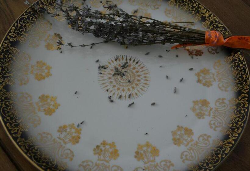 Отель Casa De Oaspeți Sfântul Nicolae