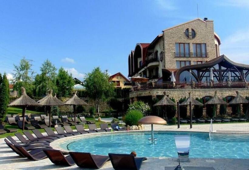 בית מלון כפרי Castel Transilvania