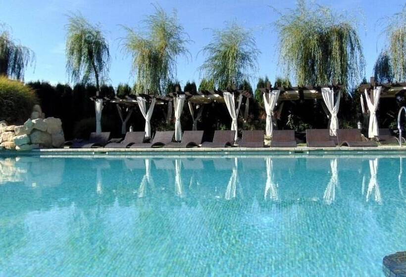 בית מלון כפרי Castel Transilvania