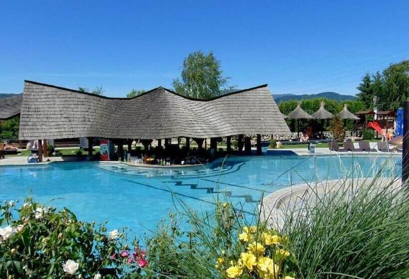 בית מלון כפרי Castel Transilvania