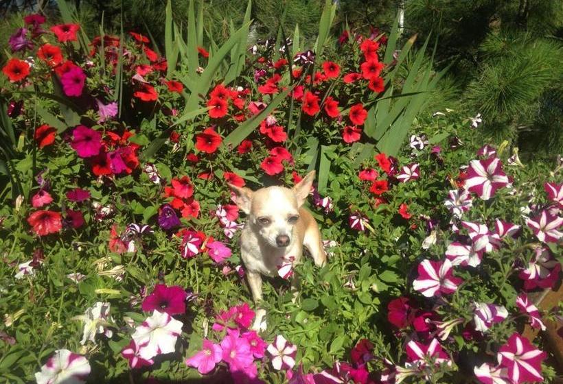 ホテル Eagle S Nest B&b