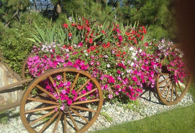 ホテル Eagle S Nest B&b