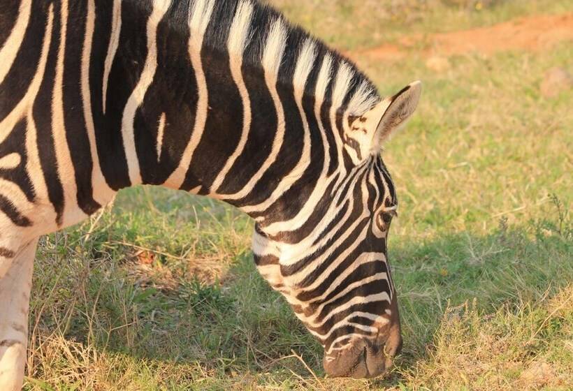 ホテル Elephants Footprint Lodge