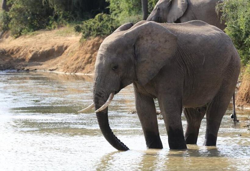 ホテル Elephants Footprint Lodge