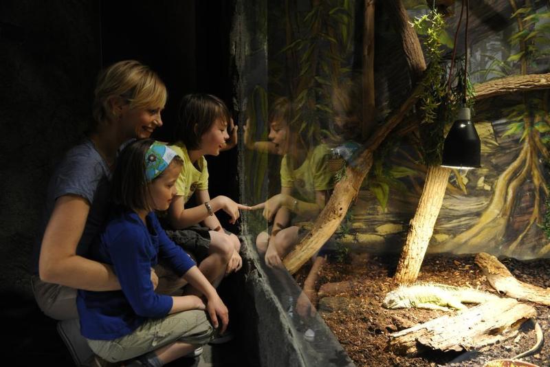 호텔 Ferien- Und Freizeitpark Weissenhäuser Strand