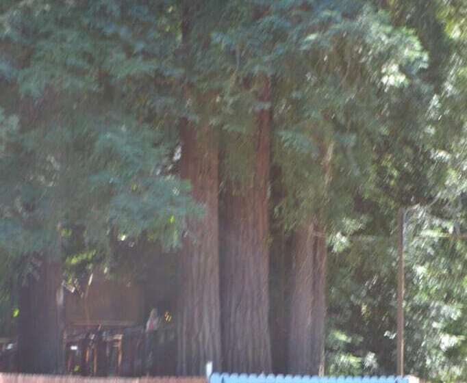 فندق Guerneville Lodge