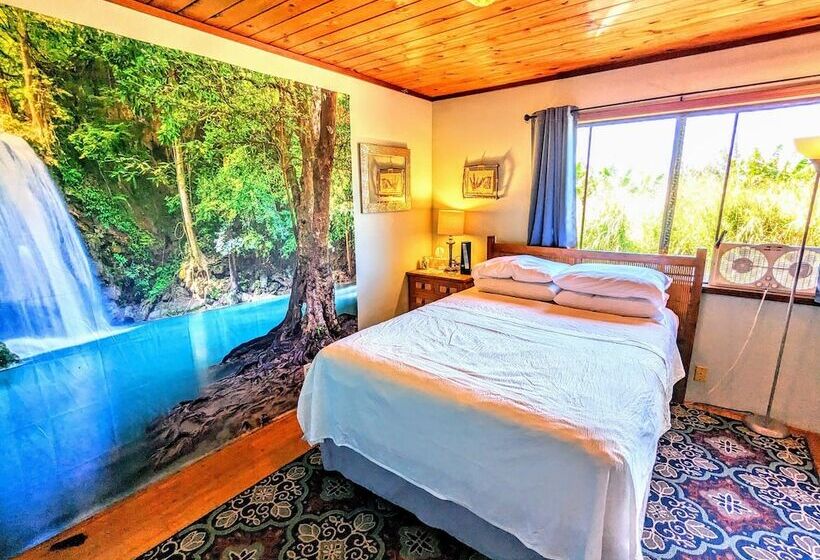 בית מלון כפרי Hamakua Guesthouse