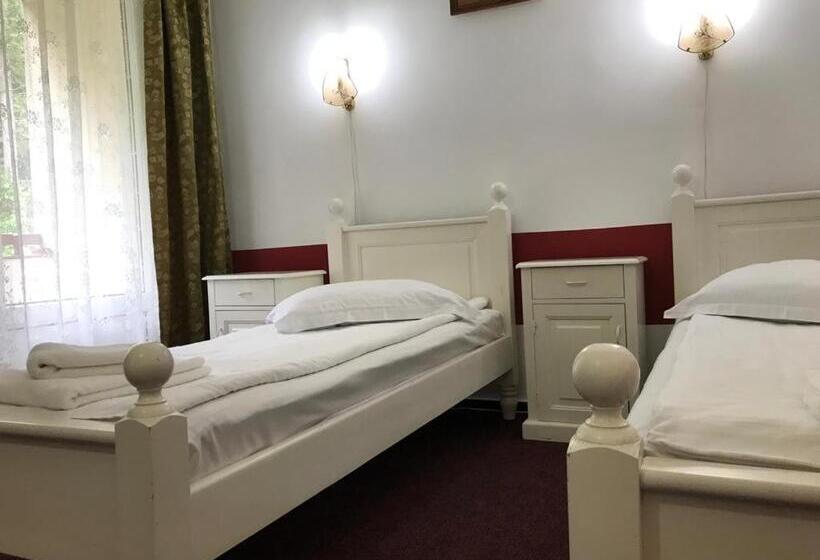 בית מלון כפרי Hefaistos   Sovata