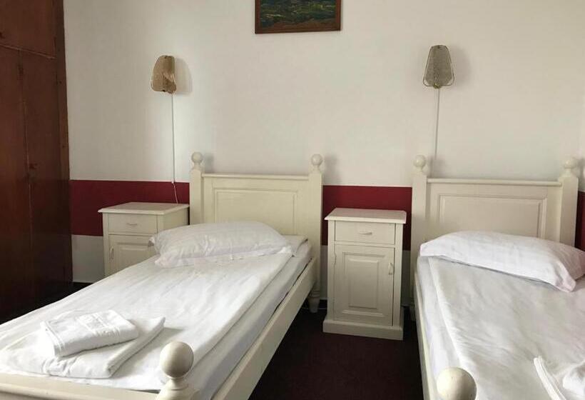 בית מלון כפרי Hefaistos   Sovata