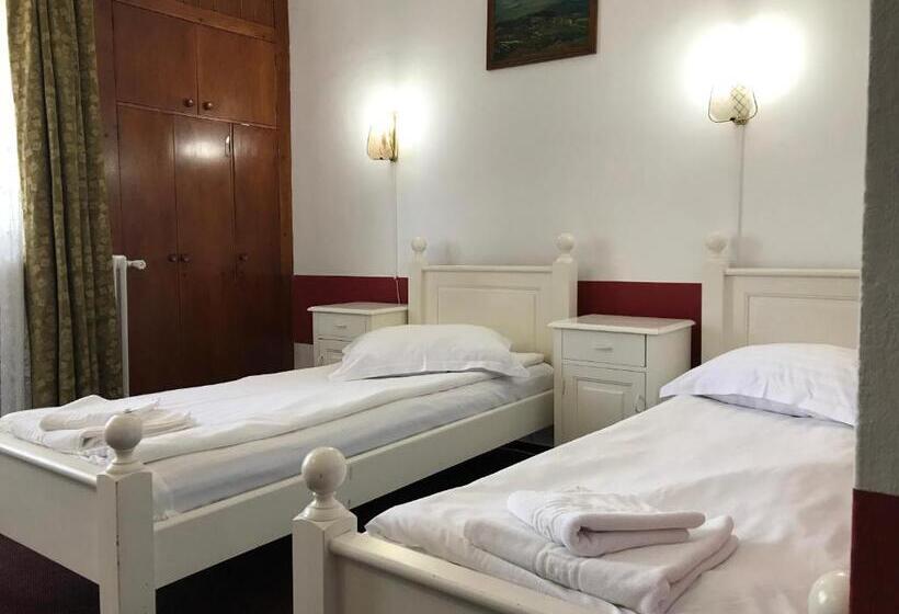 בית מלון כפרי Hefaistos   Sovata