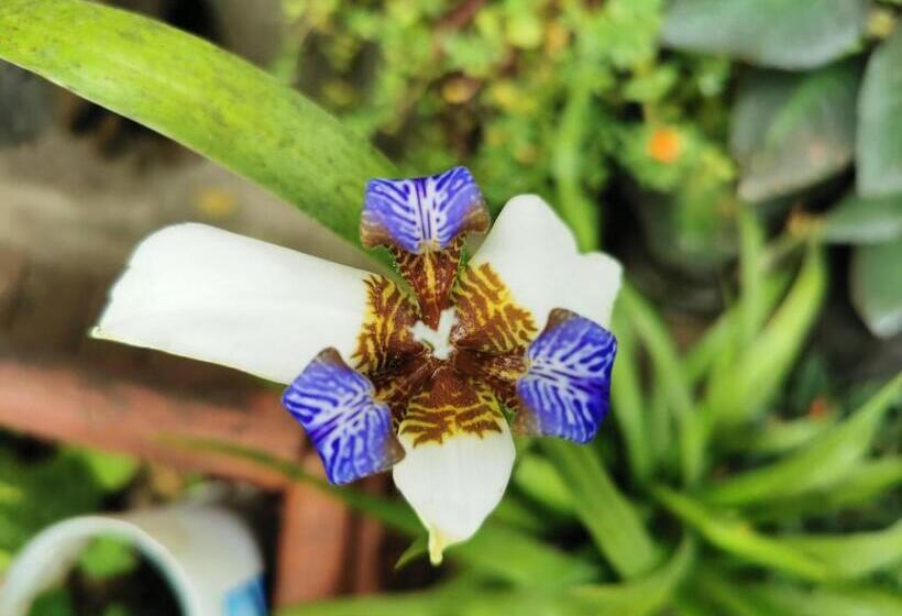 ホテル La Casa De Mi Sub