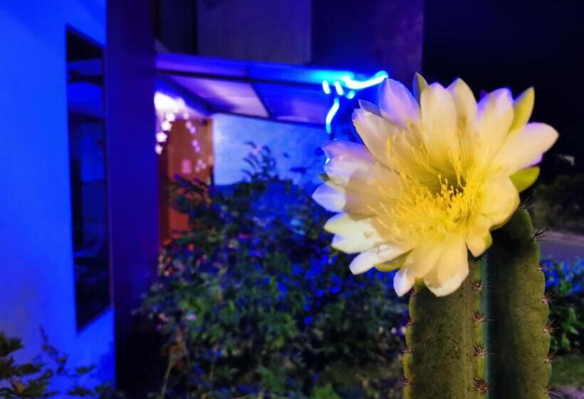 ホテル La Casa De Mi Sub