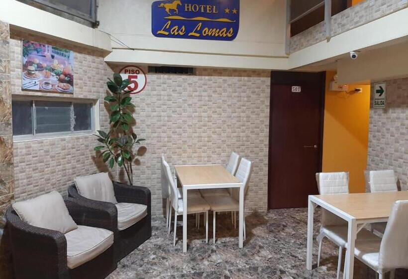 هتل Las Lomas
