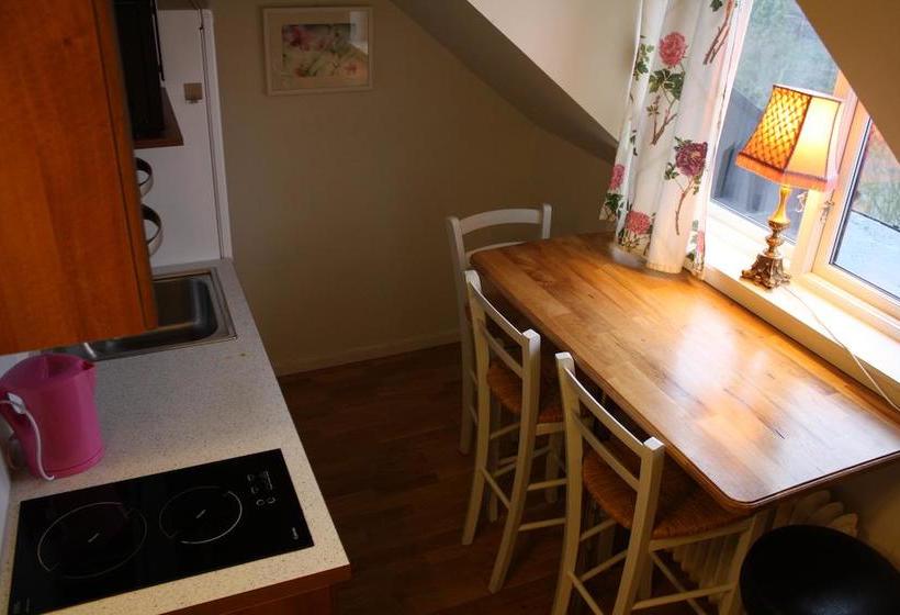 Отель Maria Inn