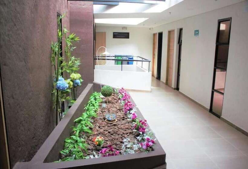 فندق Med Laureles