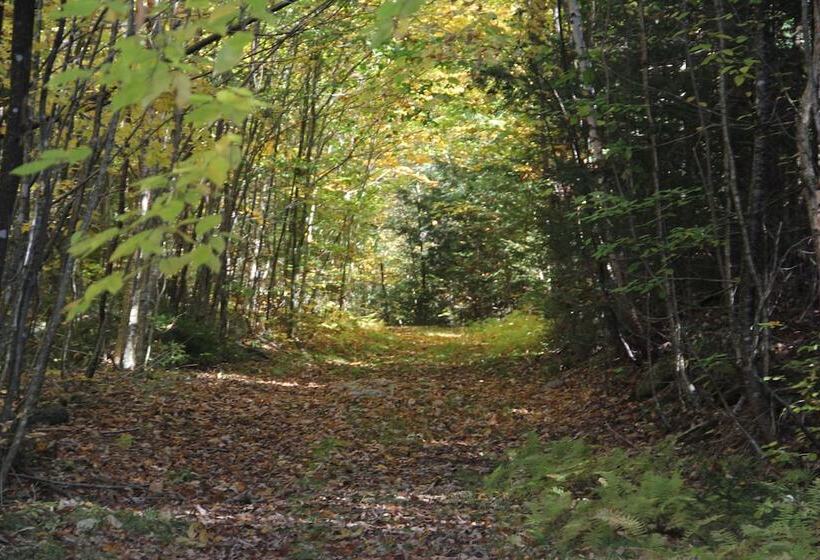 فندق Mount Jefferson View