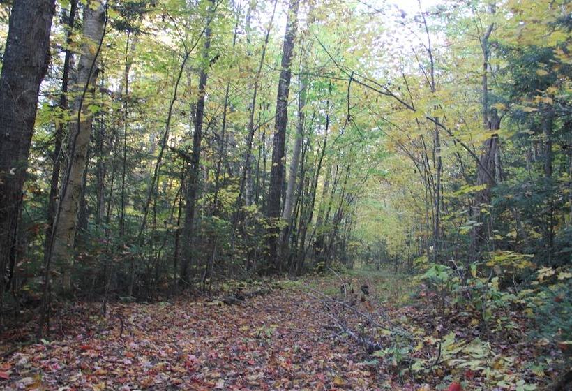 فندق Mount Jefferson View