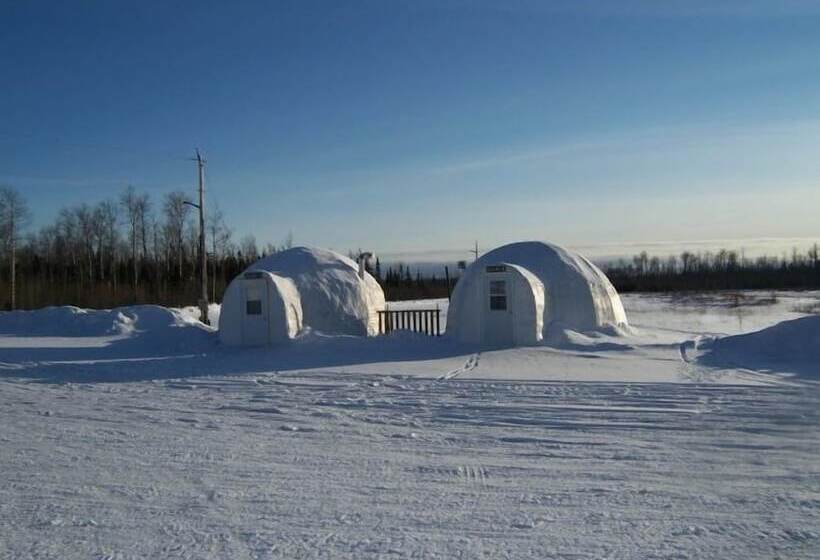 فندق North Adventure Inn