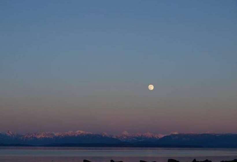 فندق Oyster Bay Resorts