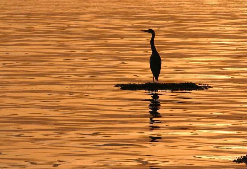 فندق Oyster Bay Resorts