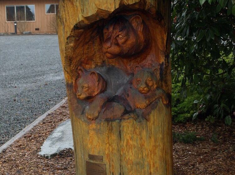 فندق Oyster Bay Resorts