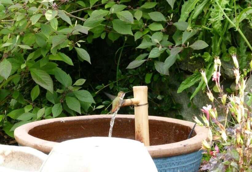 فندق Panorama Bed And Breakfast