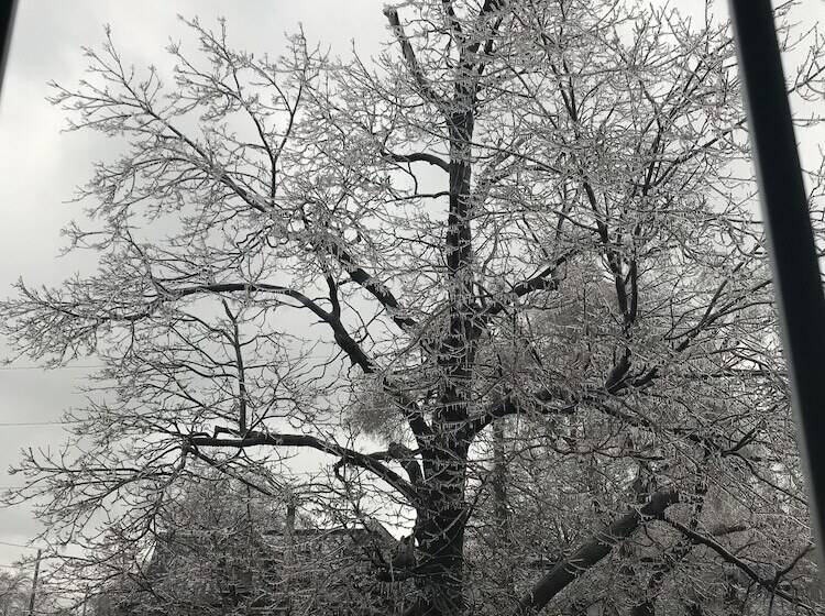 ホテル Pring Guesthouse