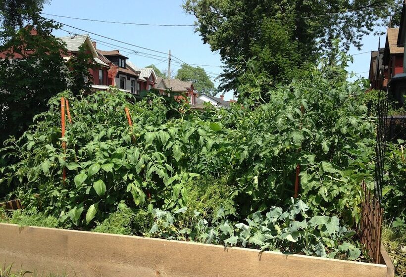 ホテル Pring Guesthouse